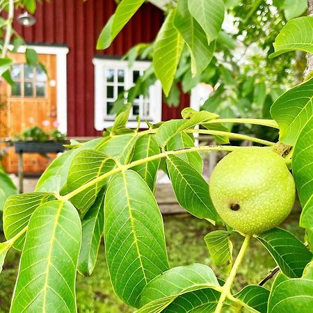 Holiday Home Malaretorpsvaegen بورغولم المظهر الخارجي الصورة